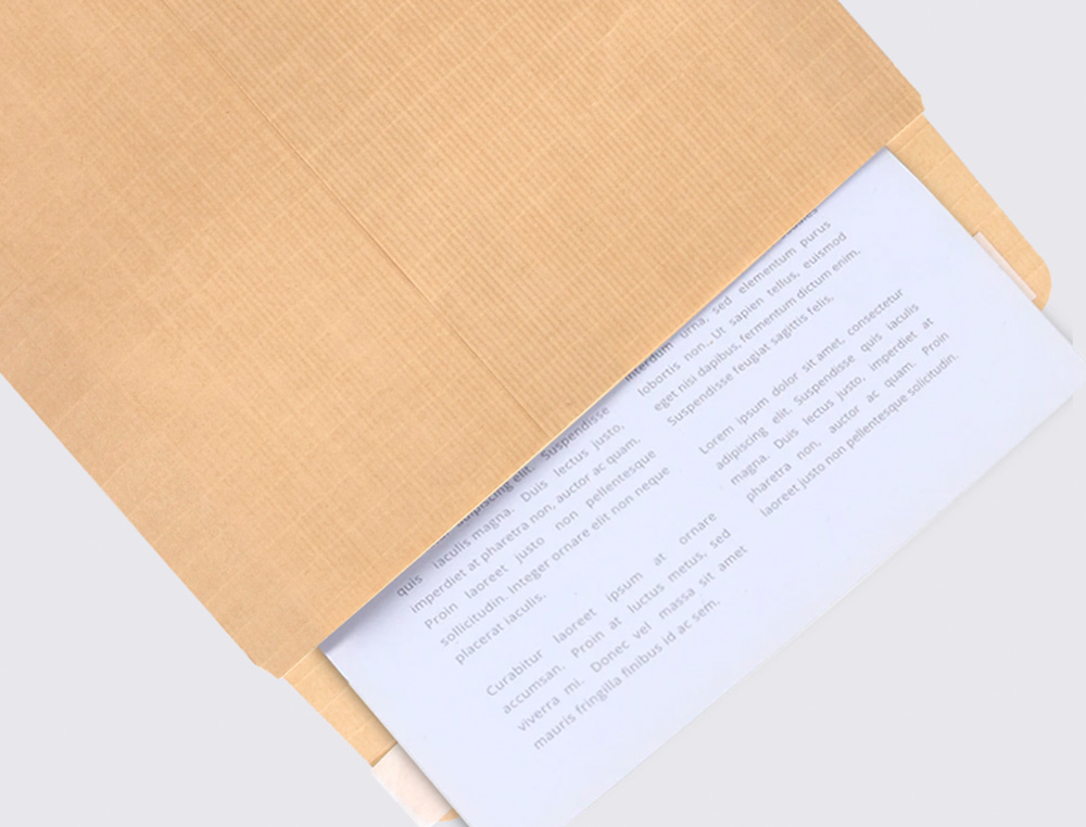 SOBRE LIDERPAPEL BOLSA ARMADO KRAFT ENVIO SEGURIDAD 260X360 MM SOLAPA TIRA DE SILICONA 120 GR CAJA DE 100 UNIDADES